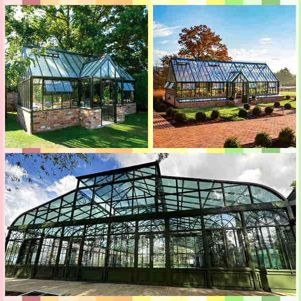 5 Must-Grow Exotic Plants for Your Glass Greenhouse
